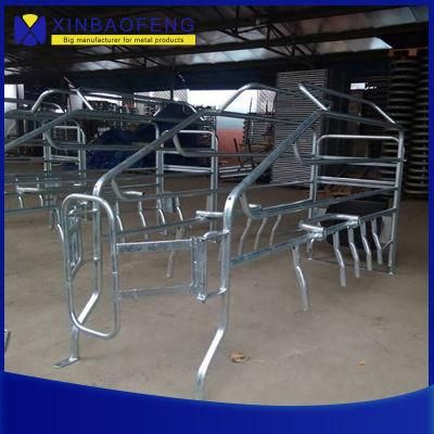 Made-in-China Hot-DIP Galvanized Pig Gestation Pens, Sow Pens, Stalls