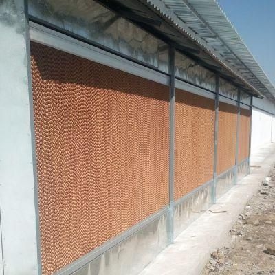 High Quality Cooling System of Poultry