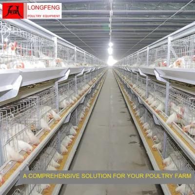 China Local After-Sale Service in Asia Poultry Farm Equipment Chicken Cage