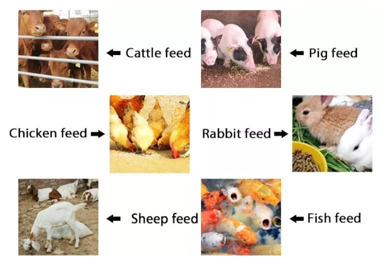 Animal Chicken Feed Pellet Factory Supply Poultry Feed Pellet Mill Pellet Granulator