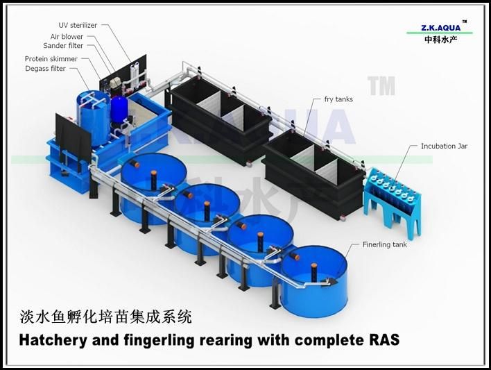 Aquaculture Fish Farm Egg Incubation System Fish Hatchery Fish Incubator