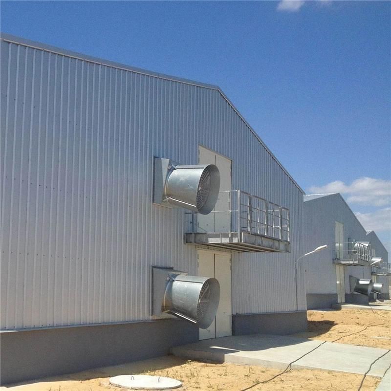 CE Qualified Agricultural New Poultry Chicken Farm Barn Prefabricated Warehouse