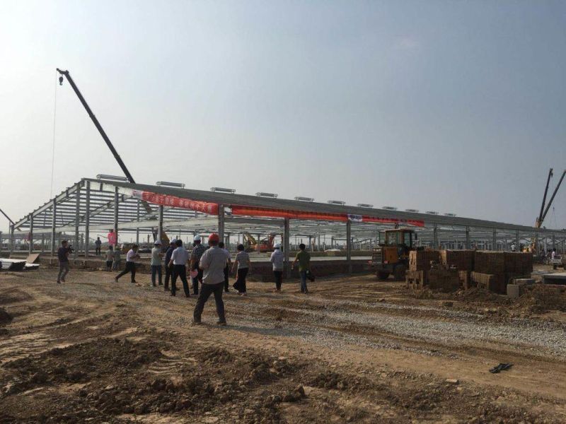 Easy Install Low Cost Steel Structure Shed for Sale