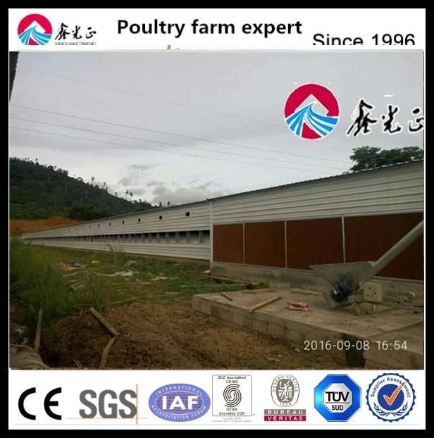 Automated Poultry Egg Chicken House Hen Cages Battery Cage System