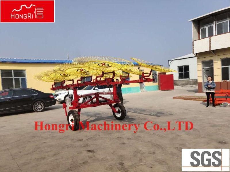 Agricultural Machinery Hongri 9lz Series Double Side Structure Hay Rake