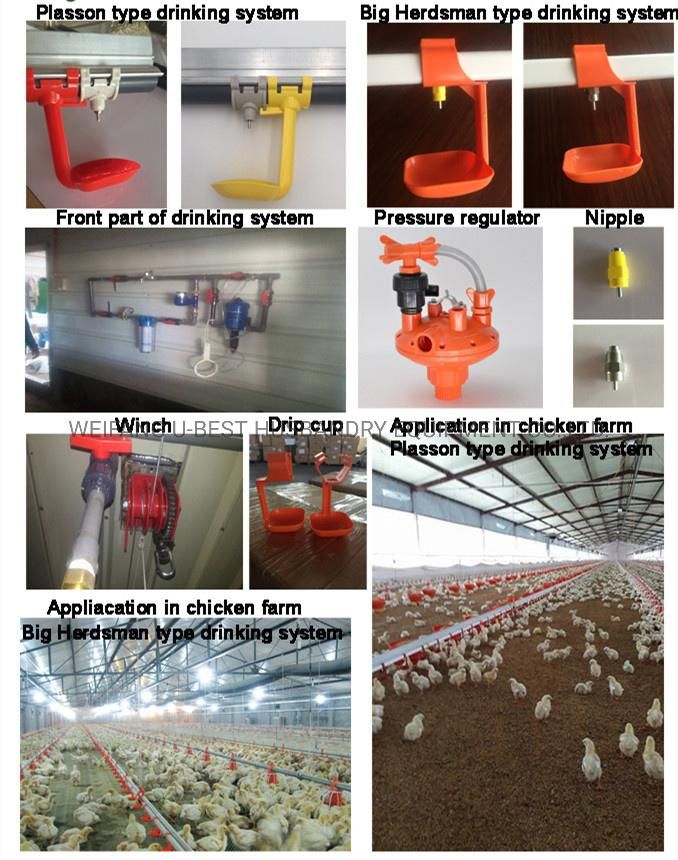 Modern Chicken Poultry Farming Equipment with Feeding Pan and Nipple Drinking System