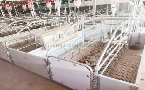 Automatic Control Economic Pig Feeding System Pig Equipment