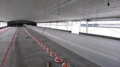 Automatic Poultry Houses with Ventilation Fans