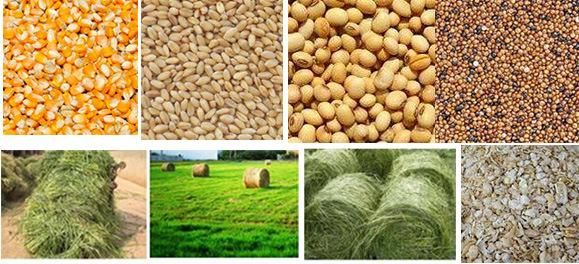 Animal Poultry Livestock Sheep Feed Pellet Machine Plant