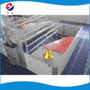 Certified Pig Farming Equipment High Quality Farrowing Crate for Sale