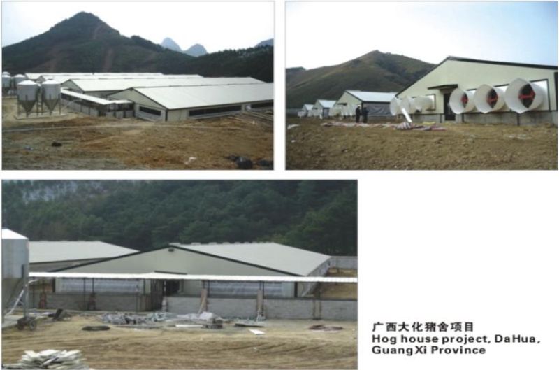 Steel Structure Piggery in China