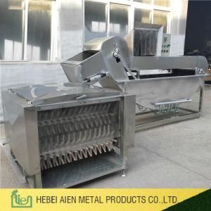 China Poultry Slaughterhouse Poultry Scalding and Plucking Combination Machine Abattoir Machinery