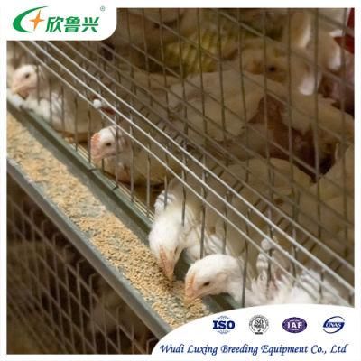 Battery Cages Broiler Cage Type H Broiler 3/4 Tiers Chicken Cages