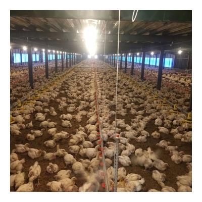Broiler Flooring System with Automatic System Feed Pan