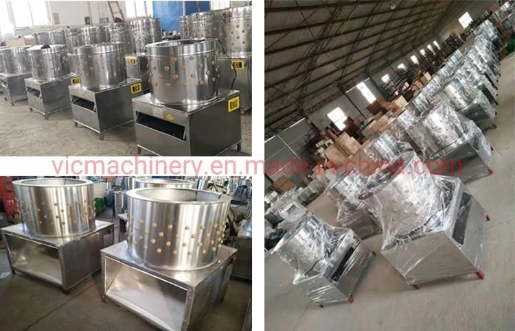 Automatic Stainless Steel Chicken Plucker Machine