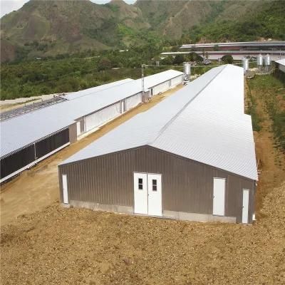 Easily Built Quick Installation Best Material Steel Poultry Farm Equipment