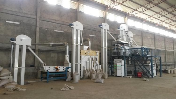 Millet Seed Cleaning Plant / Sorghum Seed Processing Plant