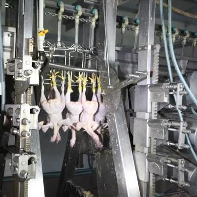 Qingdao Raniche Meat Chicken Abattoir Slaughter Equipment House