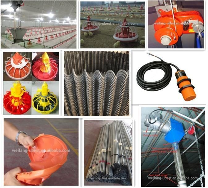 Automatic Farm Equipment for Chicken Poultry Broiler House Floor Ground Pan Feeding System Shed