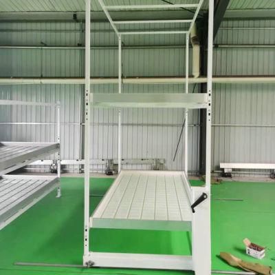 China Supplier Factory Price Grow Rack Ebb Flood Rolling Bench Table for Flower Hydroponic