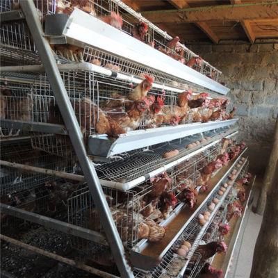 Poultry Equipment Type a Stepped Laying Chicken Cage