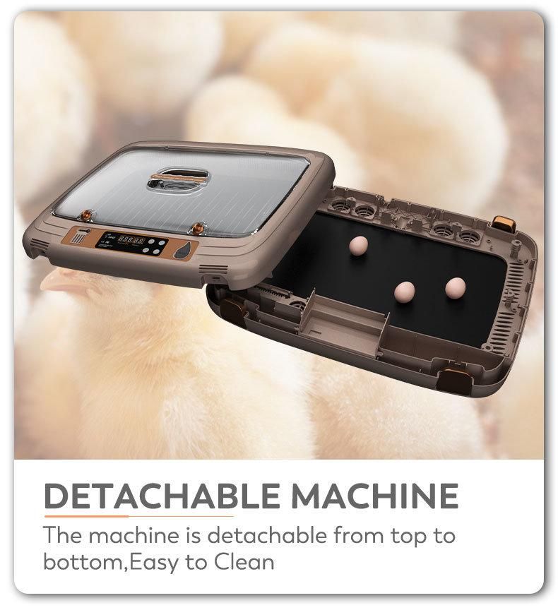 Hhd New Design Automatic Egg Turning 50 Eggs Incubator for Poultry Hatchery