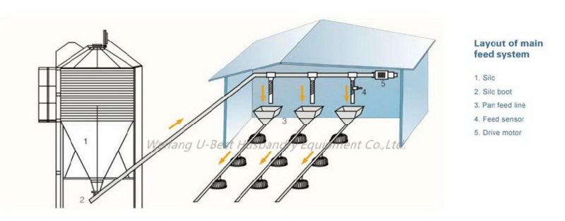 Automatic Layer Hen Chicken Poultry Farm Equipment