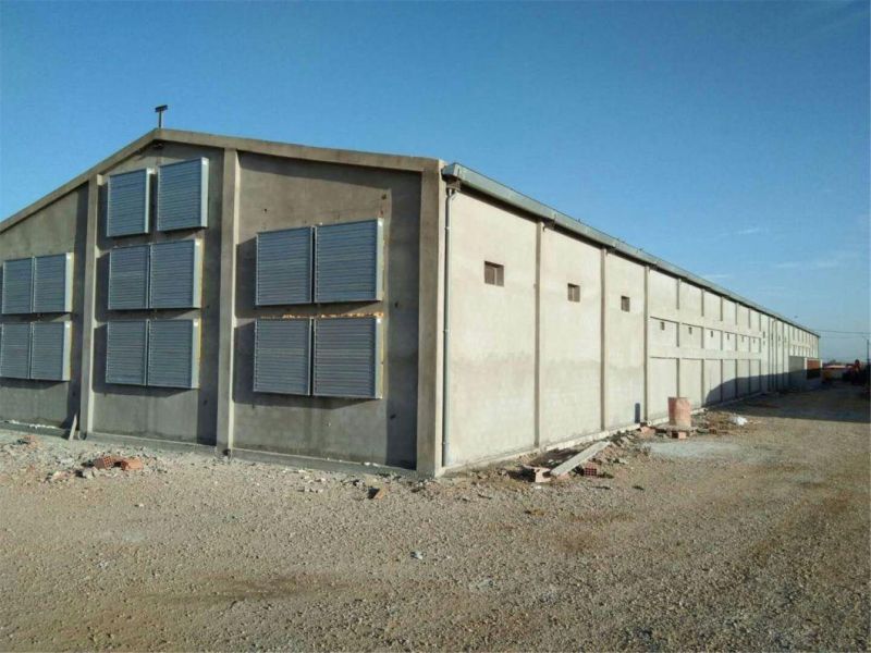 Low Cost Prefab Steel Structure Pig House