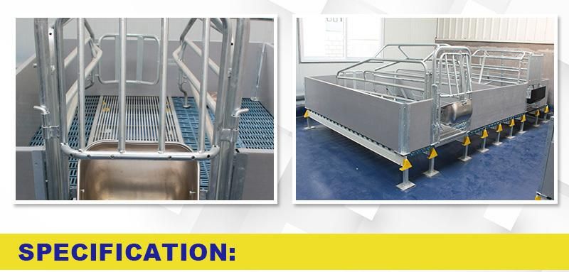 High Quality Hot Dipped Galvanized Tubes Pig Farrowing Crate for Sale