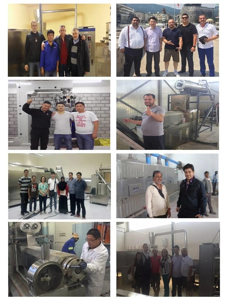 Animal Aquarium Pet Dog Cat Bird Tilapia Floating Fish Feed Pellet Production Machine Snack Food Mill Processing Making Extrusion Line Price