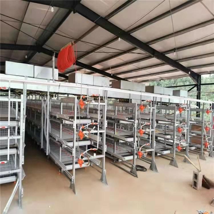 H Type Broiler Chicken Cage Price for Poultry Farm