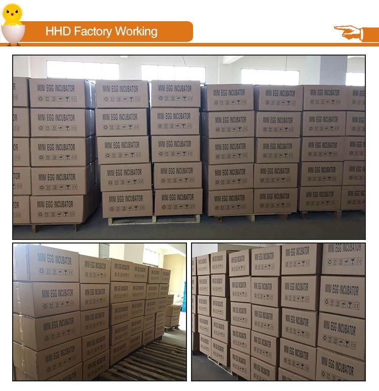 CE Approved Full Automatic 96 Eggs Incubator for Sale