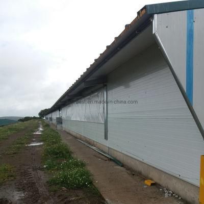 Side Wall Automatic Poultry House Curtain for Chicken Farming