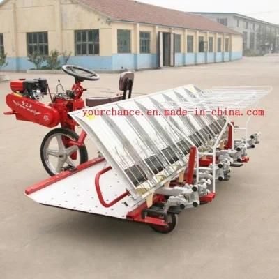 Hot Sale 2z-8300 8 Rows 300mm Rows Width Riding Type Rice Transplanter with ISO Ce Certificate