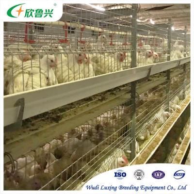 H Type 3 Layers Steel Structure Large Scale Broiler Breeding Chicken Battery Cage for Poultry Shed