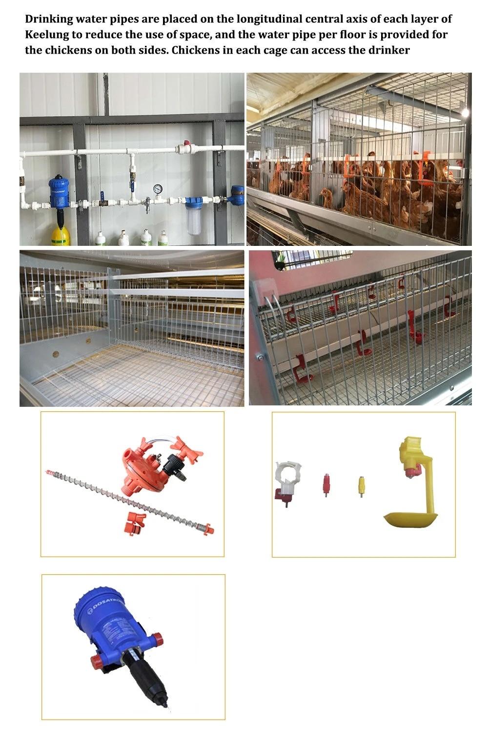 Hot Sale Chicken Pan Feeding System Broiler Flooring Ground Feeding Poultry Farm Equipment