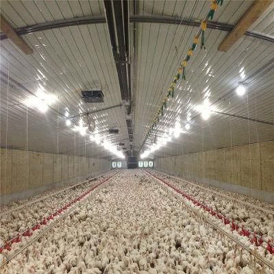 Quickly Assemble Easily Management Electric Steel Meat Chicken Coop