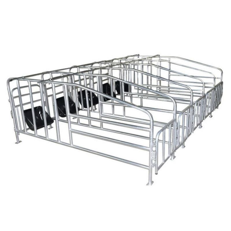 European Style Sow Farrowing Crate Galvanized Pig Breeding Cages