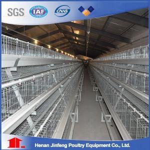 Galvanized Chicken Cage Poultry Layer Egg Cage for Sale Battery Cage Poultry Equipment for Sale
