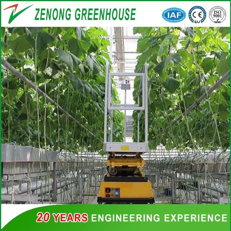 High Safety Hydraulic Elevating Work Platform for Picking up Fruits/Vegetables