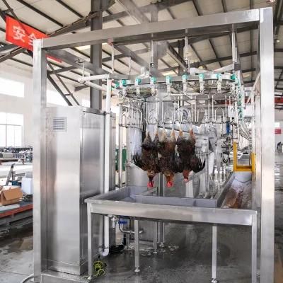 Qingdao Raniche Abattoir Slaughtering Production Poultry Dressing Line 4500 Bph