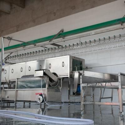 Halal 500 Bph Chicken Slaughter Machine Price for Broiler