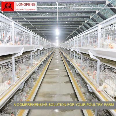 High Density Hatching Machine Broiler Chicken Cage for Asian Farm