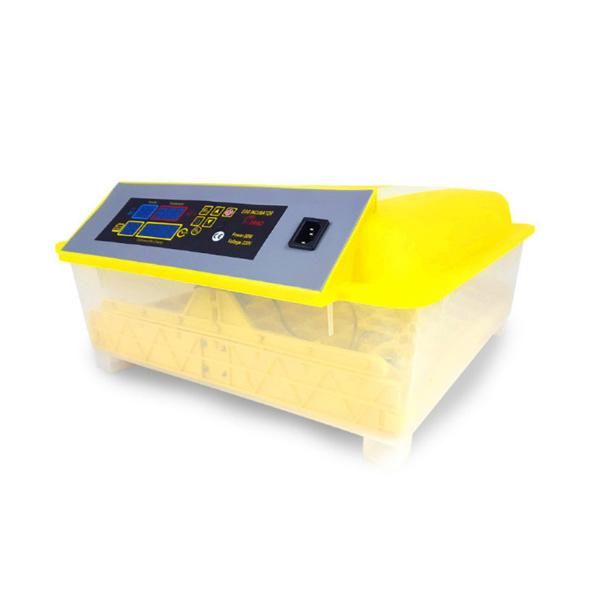 Holding 56 Eggs New Model Automatic Chicken Egg Incubator Machine Price