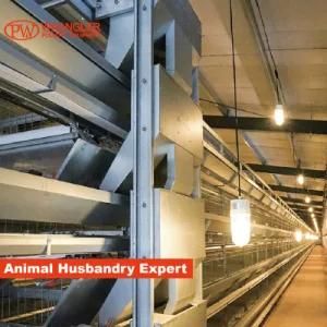 Chicken Layer Cages Automatic Poultry Birds Cage