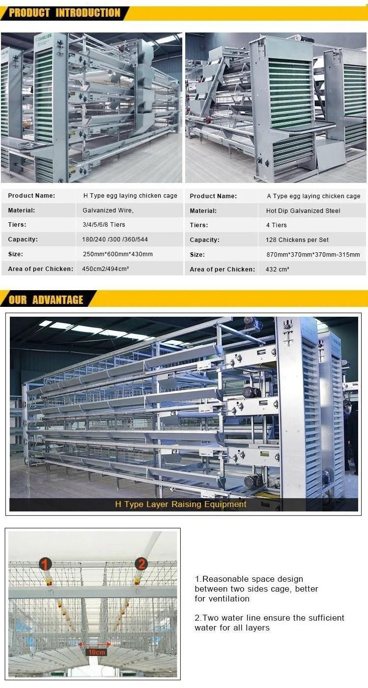 Fully Automatic Feeding System for Steel Structure of Chicken Farm