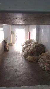 Sheep Slaughterhouse Equipment Goat Skinning Peeling Machine
