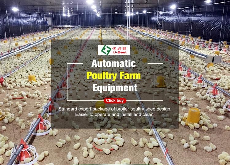 Automatic Poultry Feeding and Drinking System for Chicken Broiler House