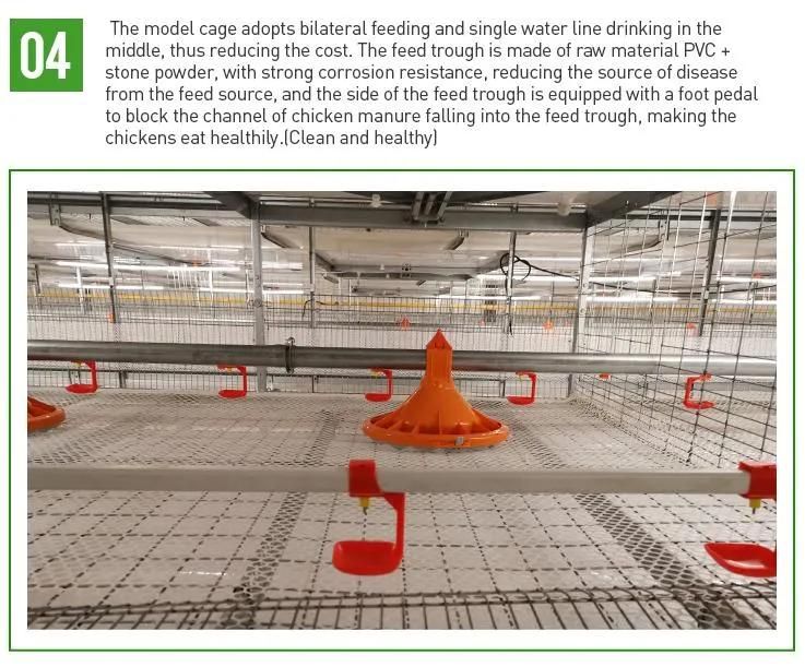 Fully Automatic Poultry Farm Galvanized Wire Layer Egg Chicken Battery Cage System