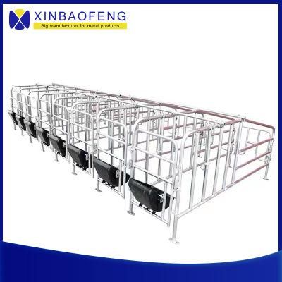 Pig Farming Equipment Galvanized Pipe Sow Gestation Cages Stall Pen Pig Gestation Crate Gestation Stall